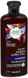 Herbal Essences Bio:Renew Volume Arabica Coffee Fruit Shampoo